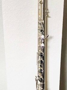 IMG_6154.jpg New! DZB, VC Vertical Bass Flute, Warranty!