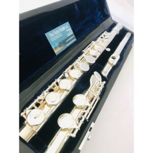 image_64b3bbc46a627_openbox.jpg New Dean Yang Alto Flute, Straight Headjoint, Warranty!