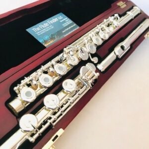 openbox-12-2.jpg New DiZhao DZ-801 BOF, Solid Silver, Offset G, C # Trill, D# Roller, Factory Warranty!